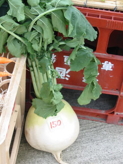 Â纬