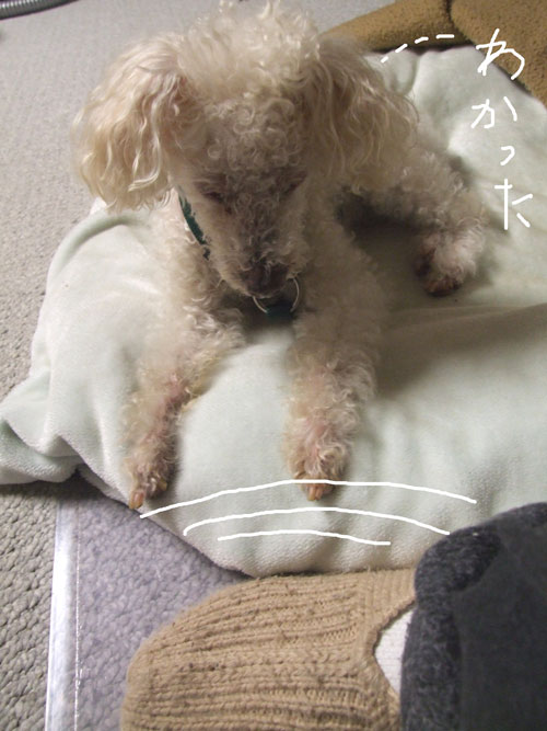 2018-03-20-chibbi2