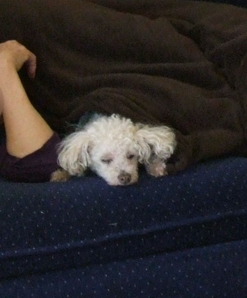 2018-03-19-chibi5