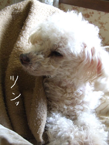 2012_04_26-dazed