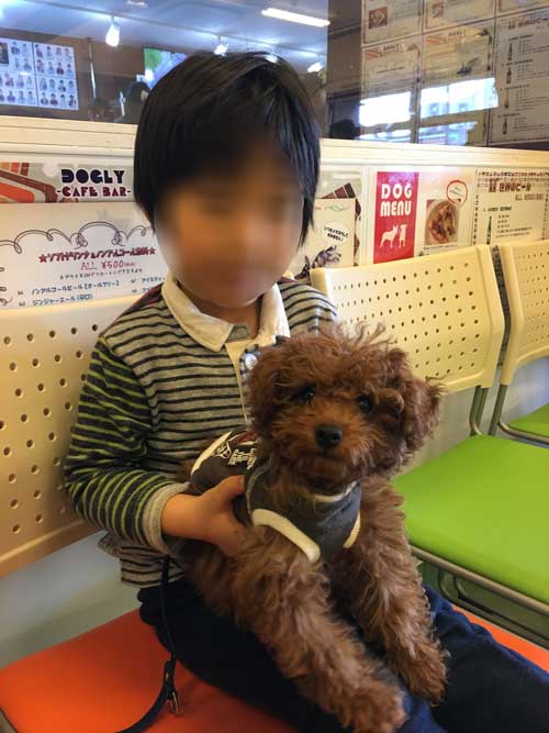 2018-03-09-poodle4