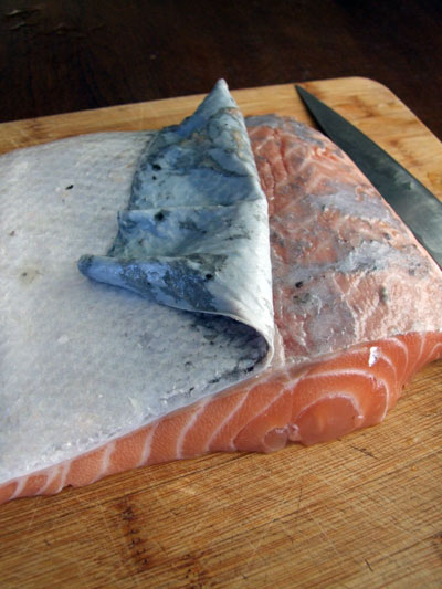 2016-07-05-salmon3