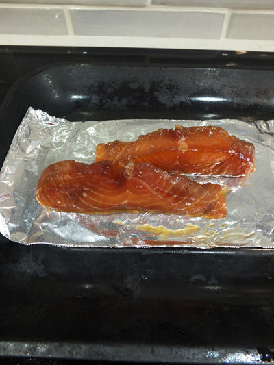2019-02-10-salmon7