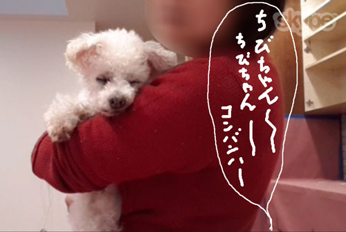 2018-10-10-chibi2
