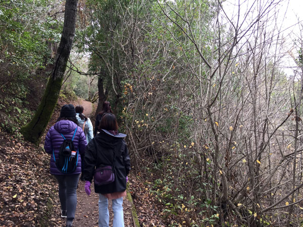 2018-12-04-rancho5