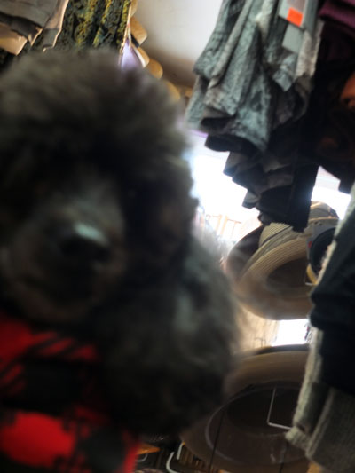 2018-03-22-sara5