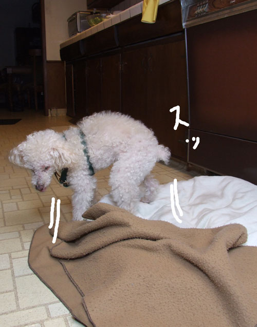 2018-03-16-chibi3