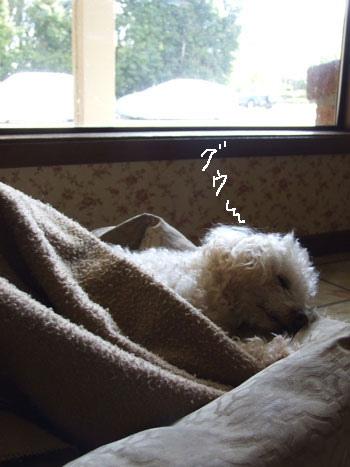 2012_04_26-window
