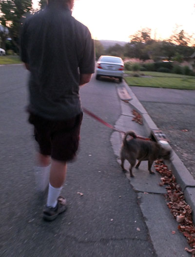 2017-09-13-walk1