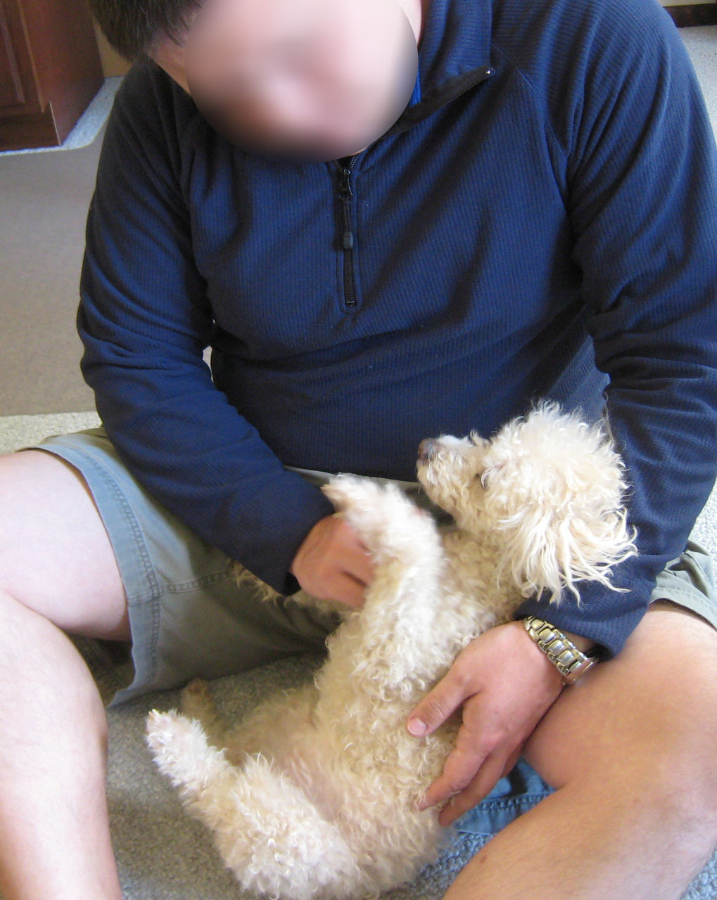2019-03-09-chibi2