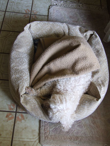 2012_04_26-sleep2
