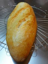 Sakko����Υѥ�1