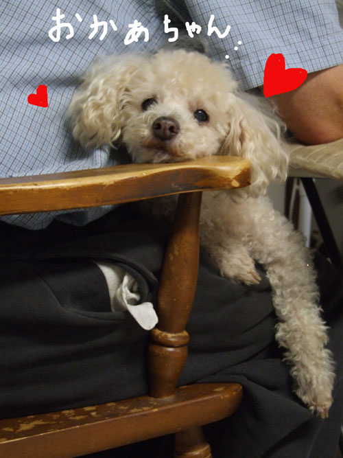 2018-03-13-chibi2