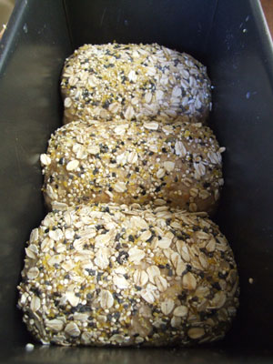 2012-09-10-pan