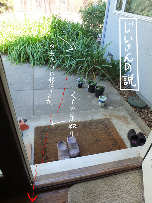 2018-11-06-spider1