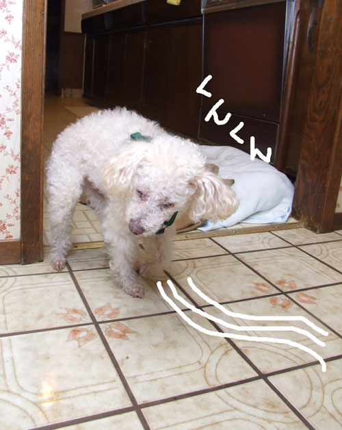 2018-03-16-chibi4