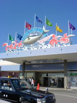 とれとれ