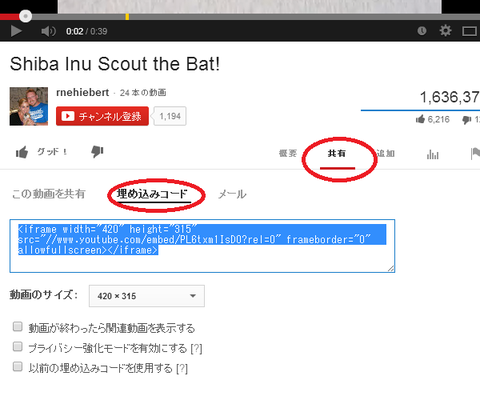 Youtube_ss1