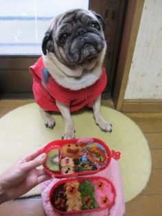 IMG_0069 (236x314)