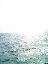 海