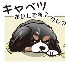 __tn_kixyabetukurea