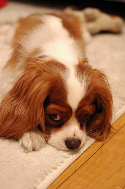 DSC_7091