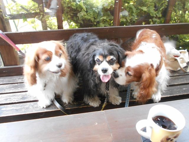 DSCN0969