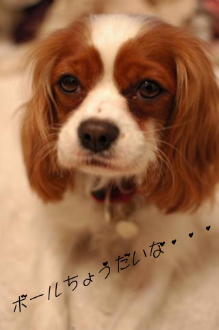 DSC_7119A