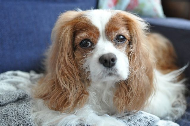 DSC_3264