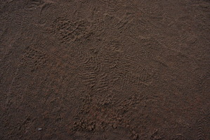 DSC01399