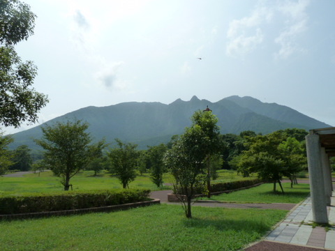 P1030524