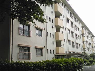 DVC00002_1