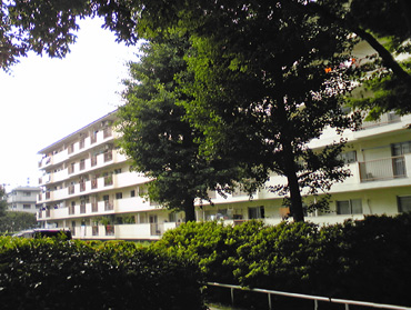 DVC00003