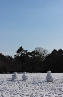IMG_0269_2mini