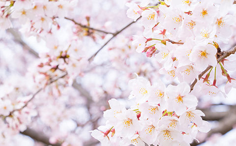 sub_image_1502238328