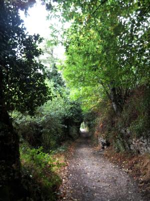 DSCF3584_small.jpg