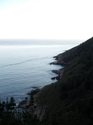 DSCF4058_small.jpg
