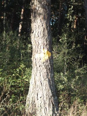 DSCF3085_small.jpg