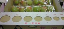 201006230910001