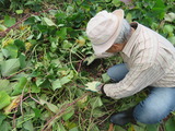教会の山田さん