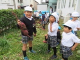 大きなお芋