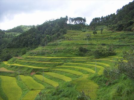 PICT4355_R