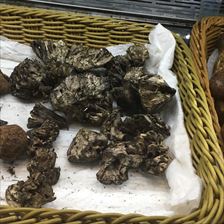 IMG_5033_R