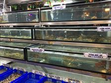IMG_7274_R