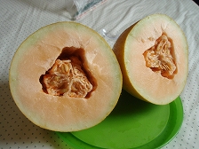 P5067344