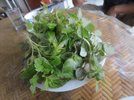 IMG_4037_R