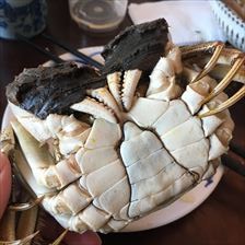 IMG_8412_R
