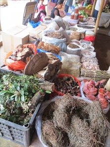 IMG_4106_R