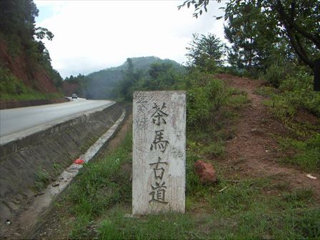 PICT4286_R