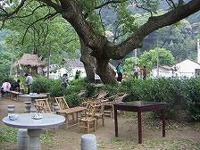 PICT1447a